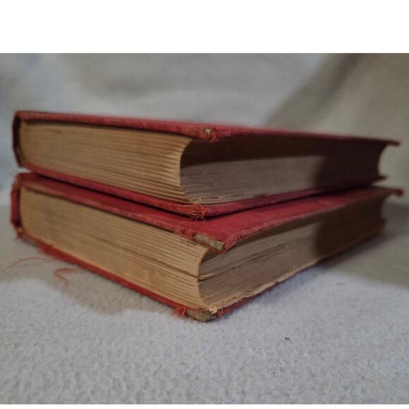 Set 2 The Leather Stocking Tales by Cooper 1927 Pioneers Deerslayer - Picture 5 of 9